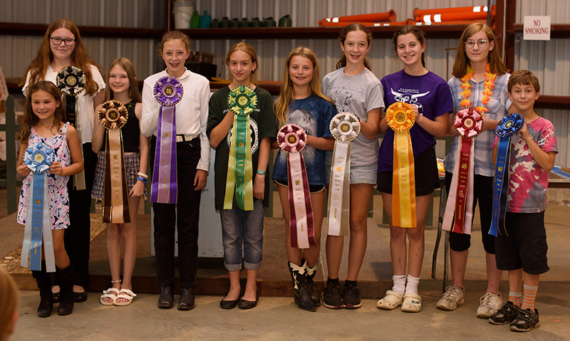 Premier of Home Arts exhibitors and rosettes