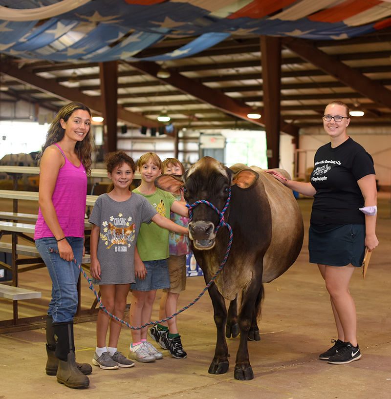 children and advisors with dairy cow