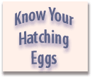 Know Your Hatching Eggs