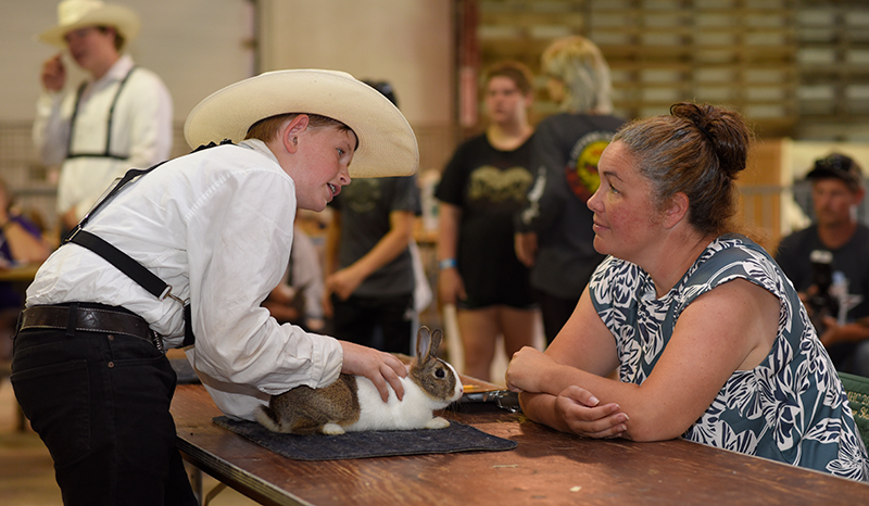 showing a rabbit in premier showmanship